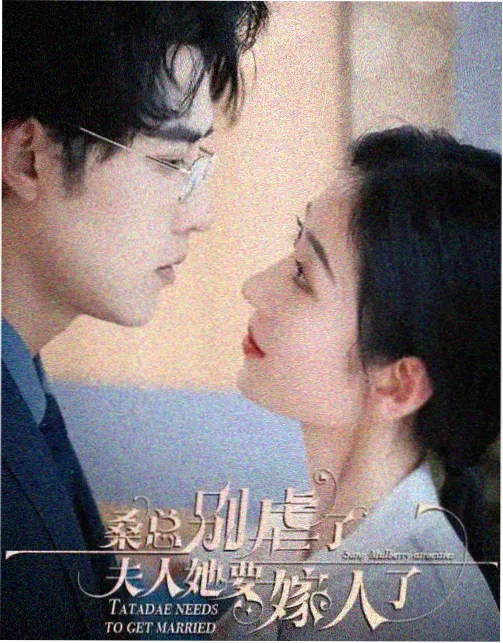 山海情电视剧免费观看